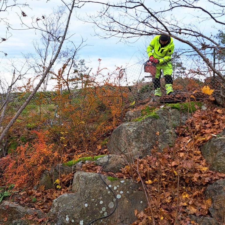 Viltstängsel på berg Montera viltstängsel